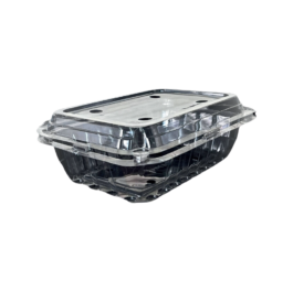 Plastic fruit container