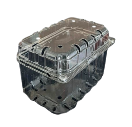 Plastic container
