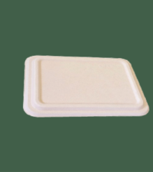 khay dáº¹p bÃ£ mÃ­a