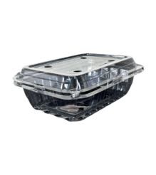 Plastic fruit container